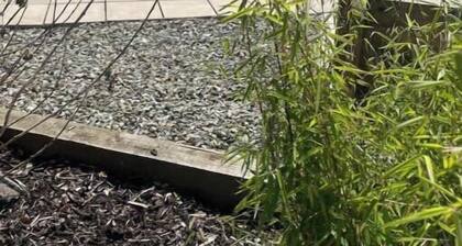 30mins Dublin Airport, 6 guests, beautiful lodge with a professional tour guide.