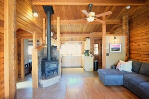 Älytelevisio, kirjoja