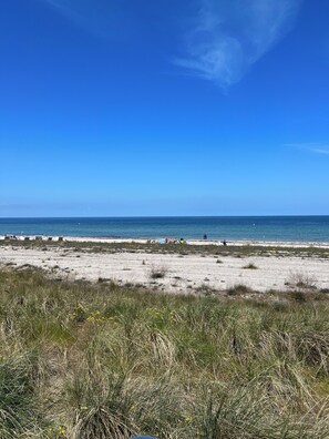 Playa