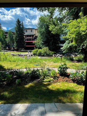 Jardines del alojamiento