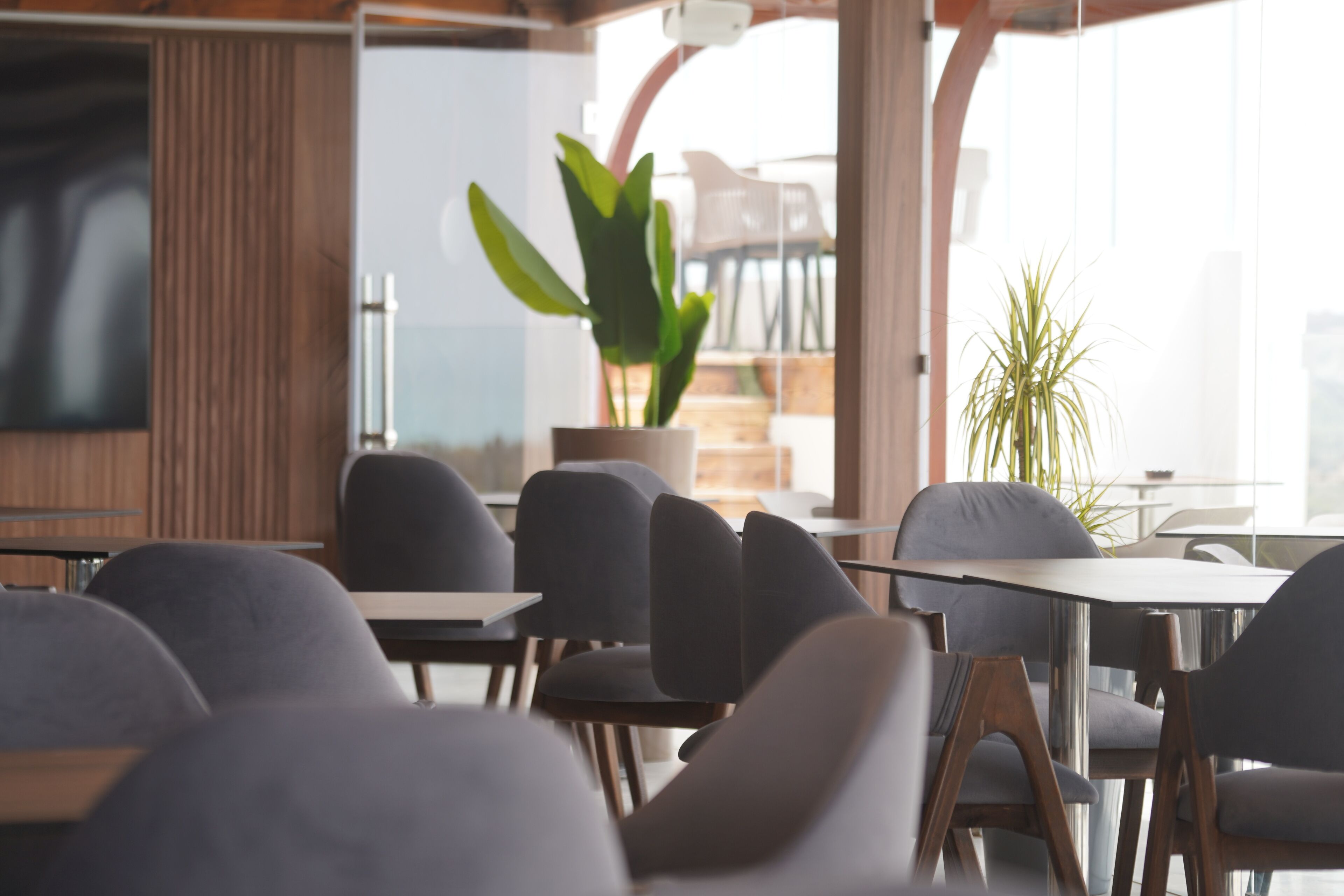 Ein modernes Café mit Holzelementen, grau gepolsterten Stühlen und Topfpflanzen.