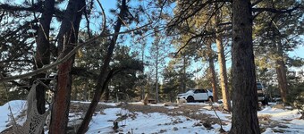 Dog Heaven / Unique mountain home for artists, creators or tech start ups.