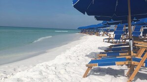 A beach with rows of blue beach chairs and umbrellas, a sandy shore, and a clear blue sea.