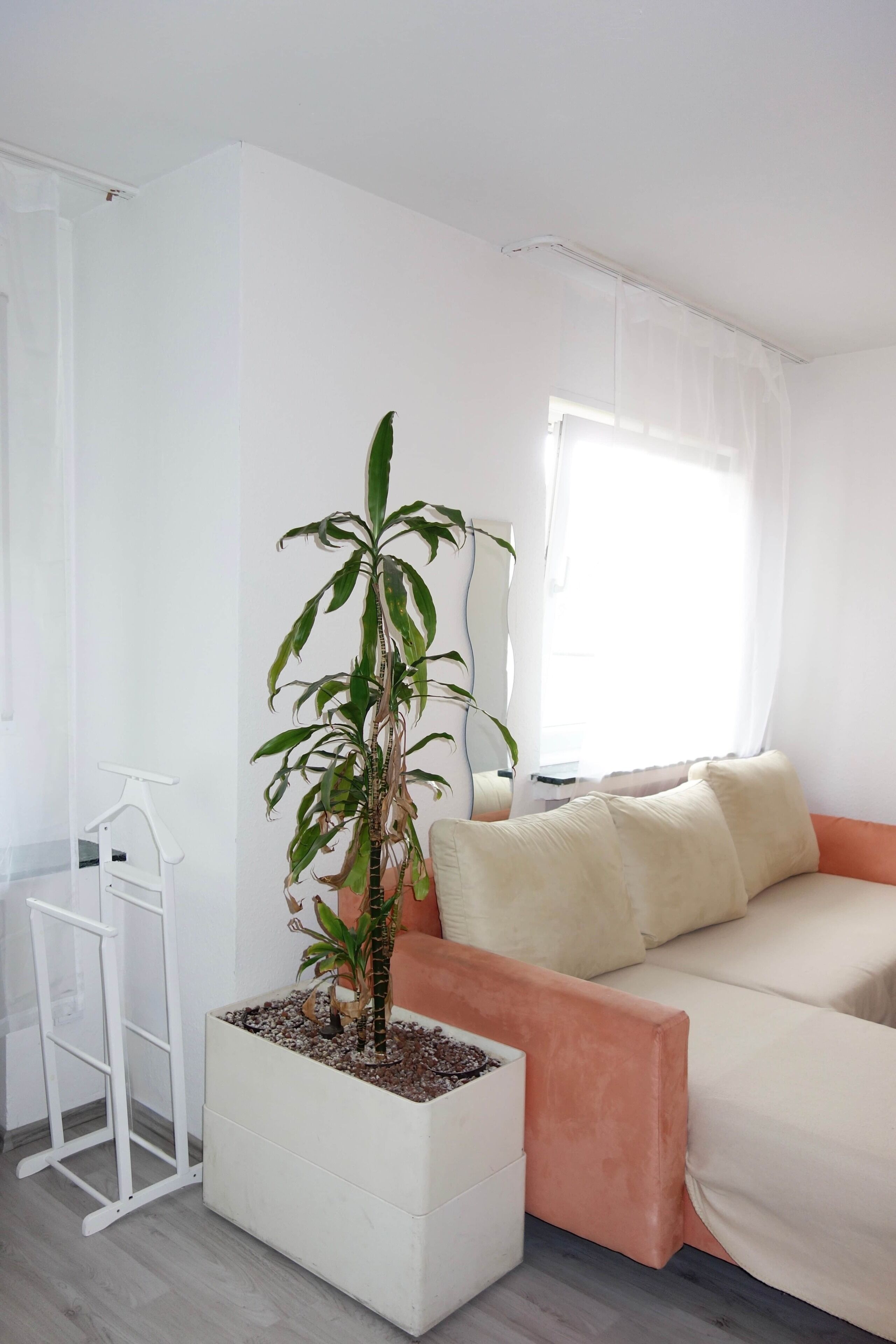 A minimalist living room with a white sofa, a small potted plant, and a white side table.