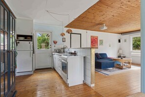 Fridge, oven, stovetop, electric kettle