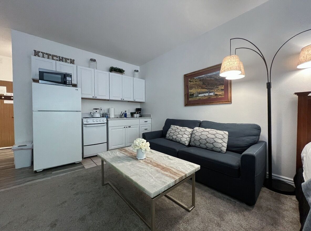 Un espacio habitable compacto con kitchenette, un sofá, una mesa de centro y un cuadro en la pared.