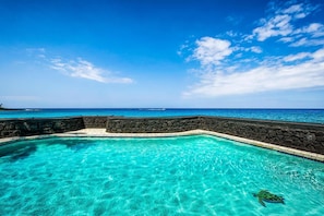 コンドミニアム キングベッド 1 台 (Kona Magic Sands#313) | プール