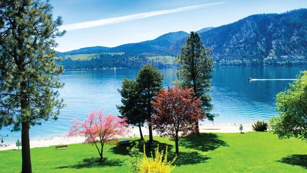 Un lac avec un banc et des arbres au premier plan, entouré de montagnes.