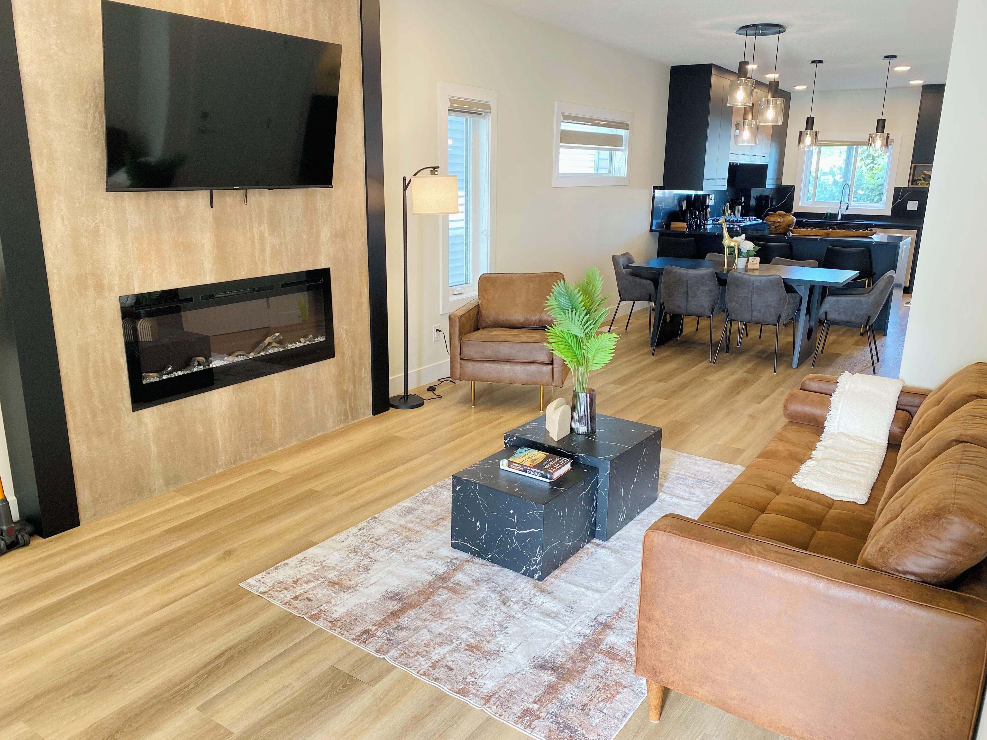 Smart TV, fireplace, books