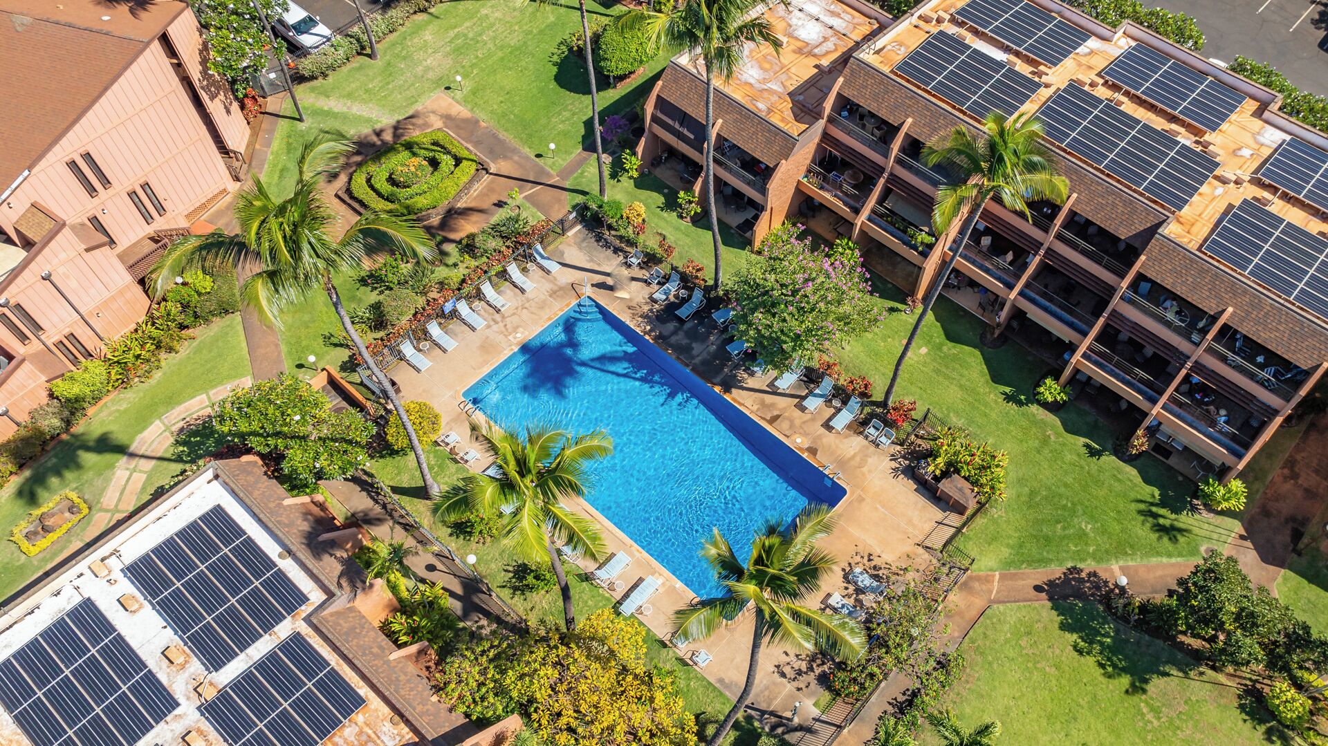 Outdoor pool, open 9:00 AM to 9:00 PM, sun loungers