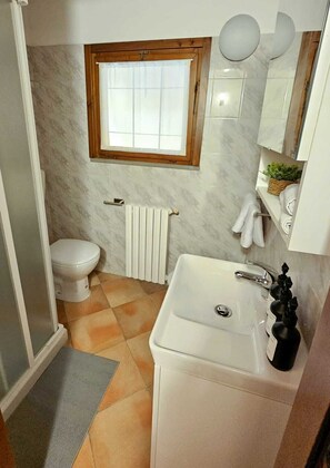 Shower, hair dryer, bidet, towels