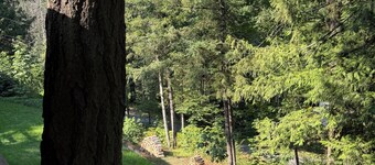Welcome to Cultus Lake’s “Aspen” at The Cedars