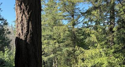 Welcome to Cultus Lakeâs âAspenâ at The Cedars