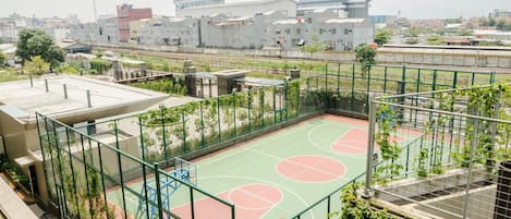 Basketball court