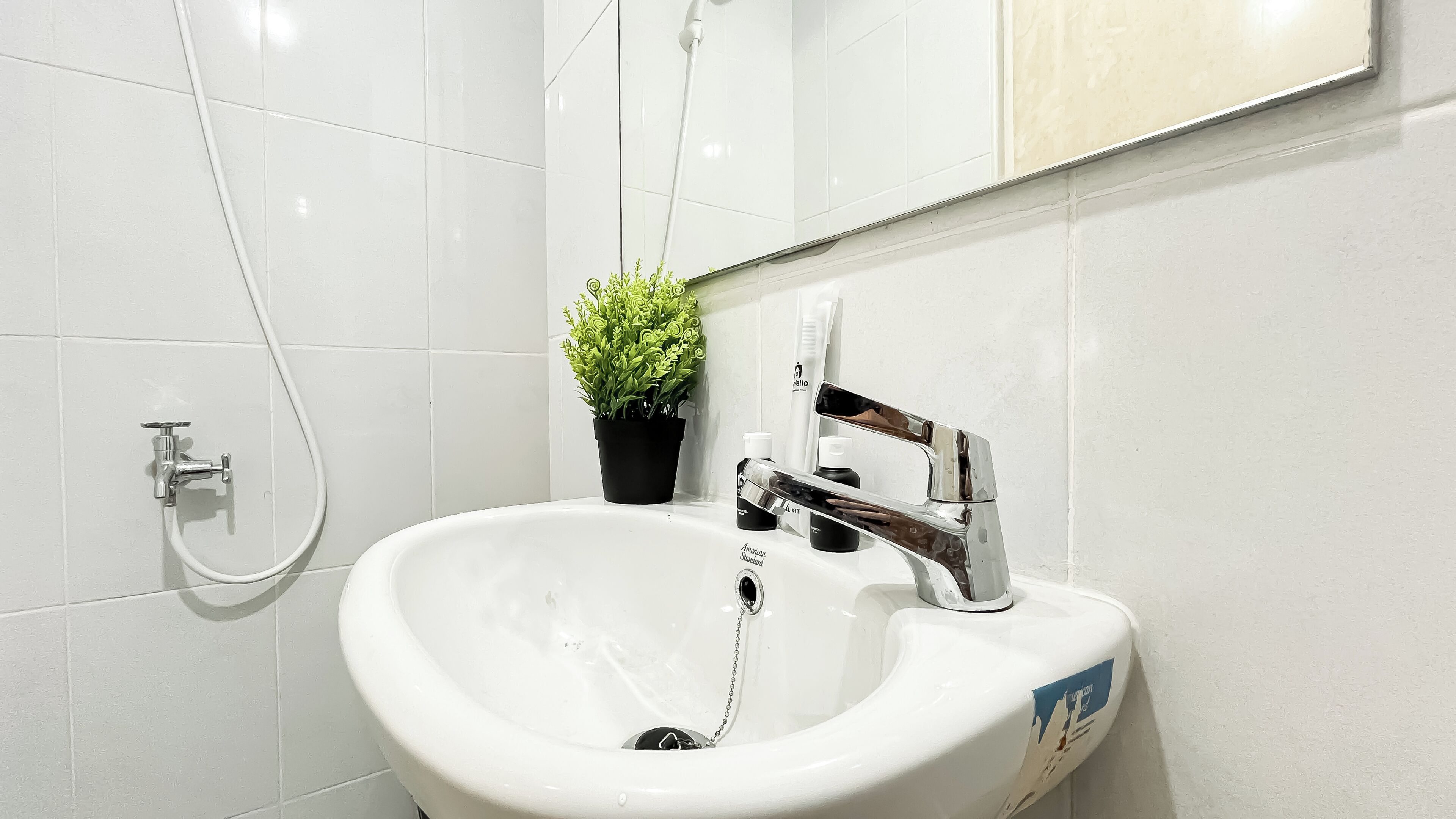 Une salle de bain avec un lavabo blanc, une douchette à main et une plante en pot.