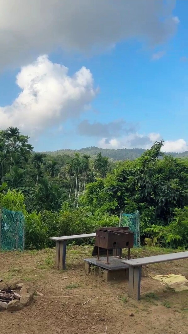 Property grounds - NIRVANA TARA FARMSTAY (Wimberlygunj)