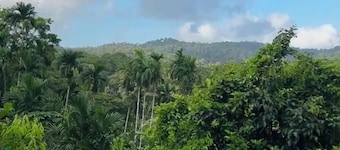 NIRVANA TARA FARMSTAY