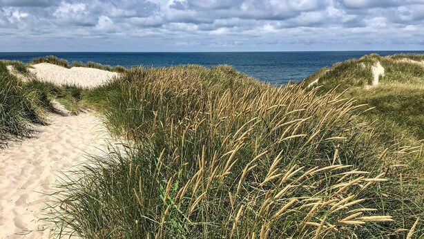 Un sentier c ôtier bordé de dunes et d’herbes.