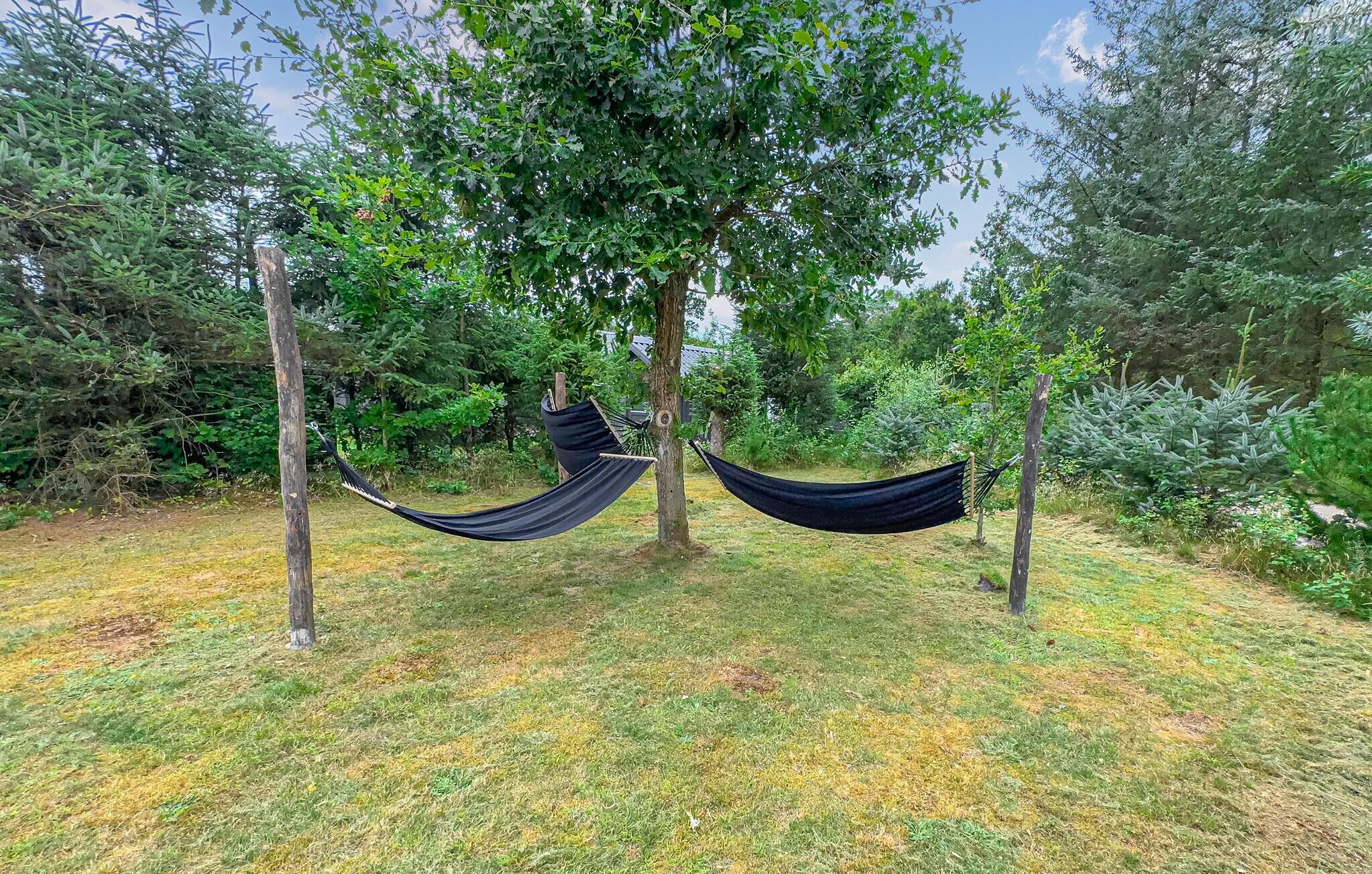 A hammock suspended between two trees in a grassy area with dense foliage in the background.