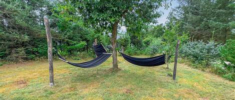 A hammock suspended between two trees in a grassy area with dense foliage in the background.