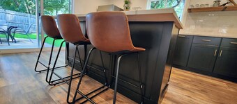 Meet Don - A Modern, Zero-step, Pet-friendly home in Rochester