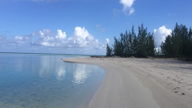 A beach with clear turquoise water, a sandy shore, and a line of trees in the background.