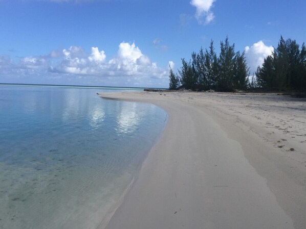 A beach with clear turquoise water, a sandy shore, and a line of trees in the background.