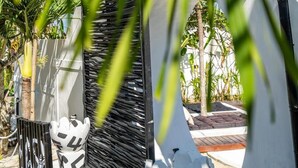 Un espacio exterior moderno con una escultura metálica de formas geométricas, una silla estampada en blanco y negro, y una palmera al frente.