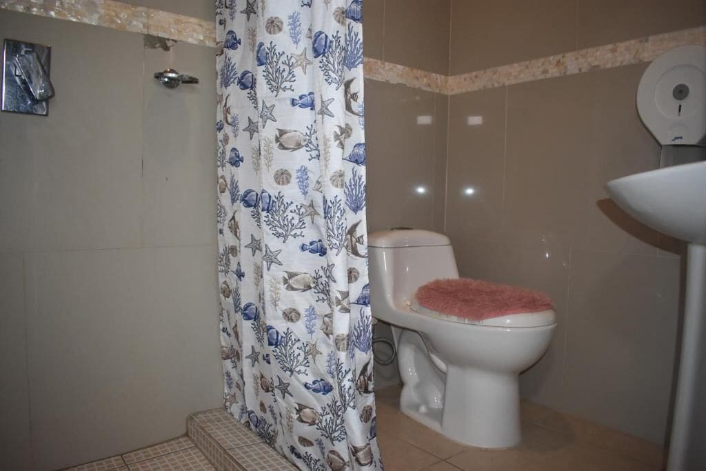 Serviettes fournies, savon, shampoing, papier toilette