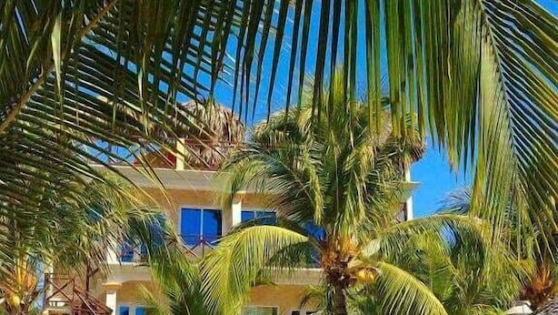 A poolside area with lounge chairs, a swimming pool, and palm trees. - Hotel nuevo amanecer (Chiquimulilla)