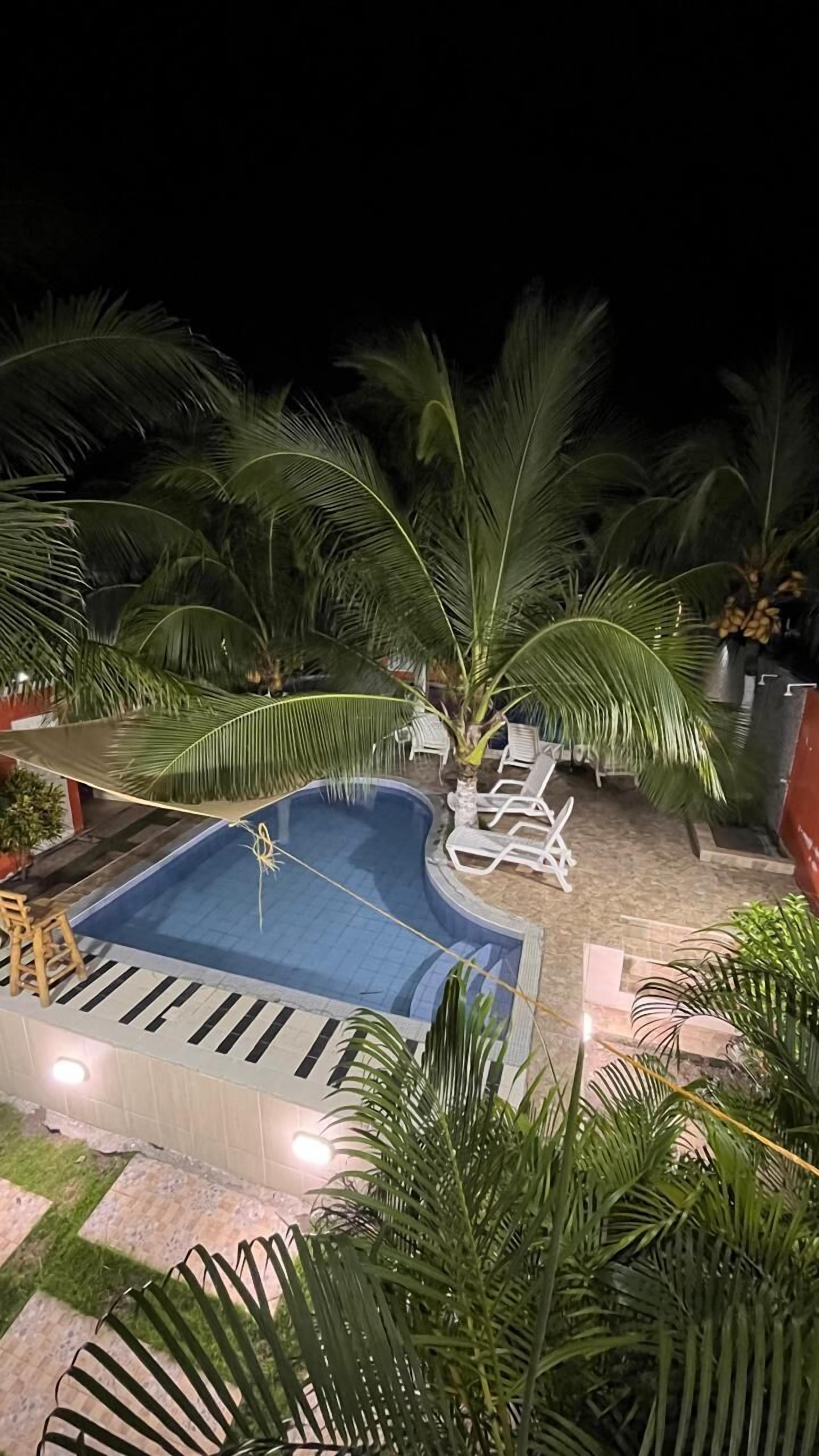 A swimming pool surrounded by palm trees and lounge chairs.
