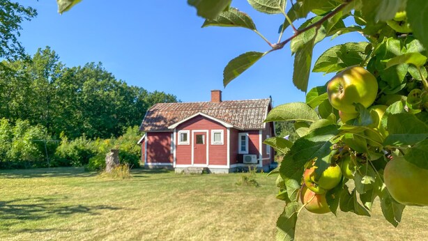 Ein rotes Haus mit Ziegeldach, umgeben von einer grünen Wiese und Bäumen.