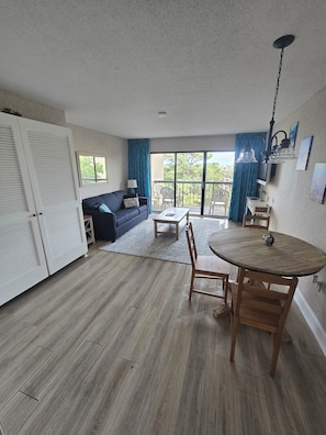 TV -  1-bedroom condo with a view (Myrtle Beach)