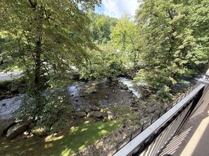 Property grounds - Chillin By The Creek - Condo in Downtown Gatlinburg! (Gatlinburg)