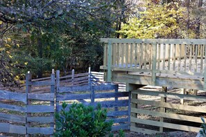Property grounds - Charming 2-bedroom bungalow in delightful Carrboro. (Carrboro)
