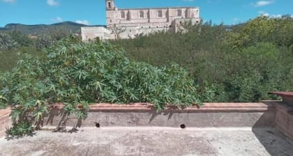 A Colonial Jewel in the Heart of the Mixteca Alta, single room.