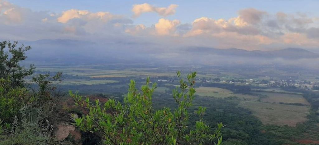A panoramic view of a landscape with mountains in the distance, a clear sky, and some vegetation in the foreground.