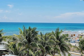 A coastal view with palm trees and a building with a sign. - Isla Mujeres Studio: Sea Views, AC & Kitchen (Isla Mujeres)