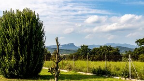 Un campo cubierto de césped con un árbol grande y una cerca.