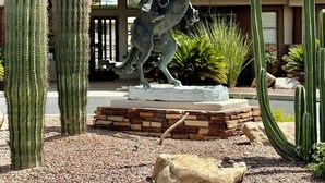 Eine Skulptur eines Mannes zu Pferd in einem Garten mit Kakteen und einem Gebäude im Hintergrund.