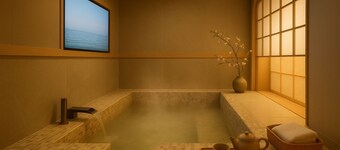 Stay Passport Airplane Guri