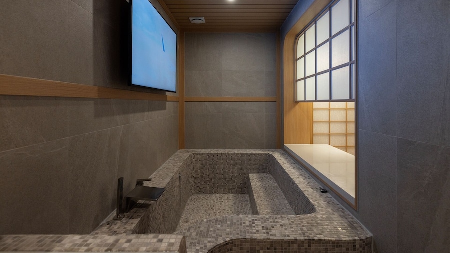 Stay Passport Airplane Guri