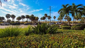 A parking lot with several cars, palm trees, and a clear blue sky.