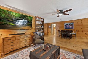 Smart TV, fireplace, books