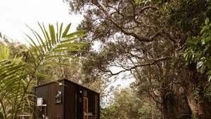 Una pequeña cabaña de madera oscura con una sola puerta y un pequeño porche, rodeada de árboles y abundante vegetación.