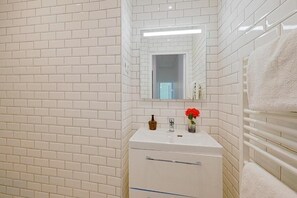Shower, hair dryer