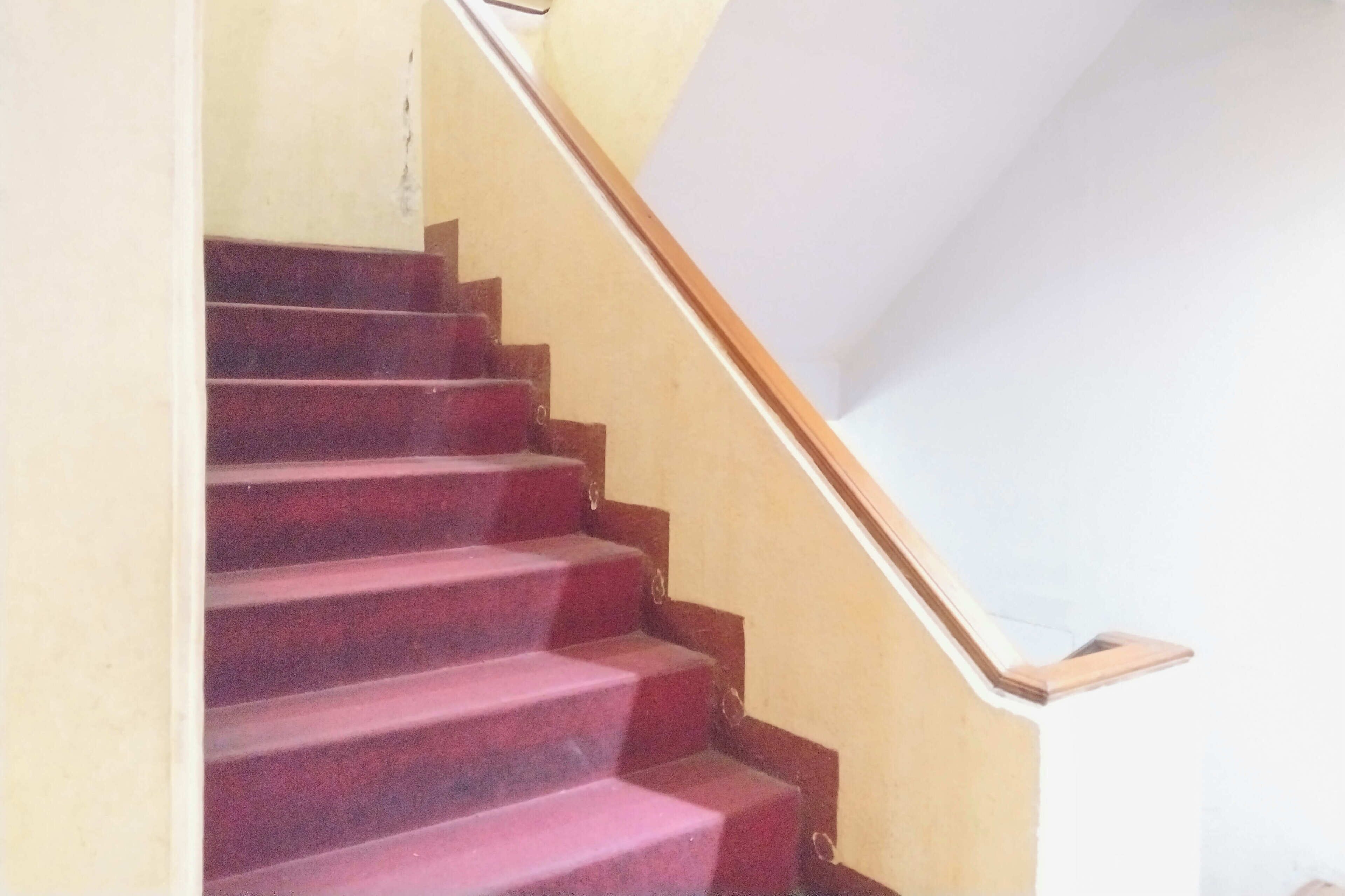 A staircase with wooden steps and a white handrail.