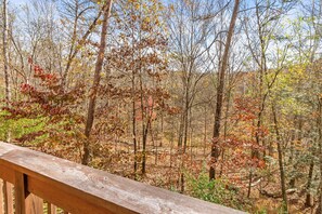 Botón de imagen sin clasificar, 5 de 60