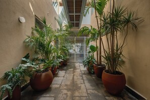 Entrada interior
