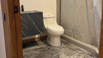 Shower, towels, soap, toilet paper